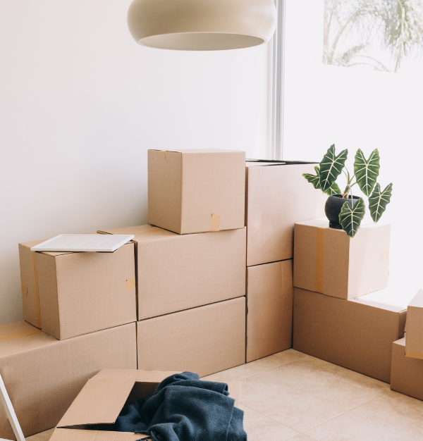 adsız tasarım 2026 01 08t125207.803